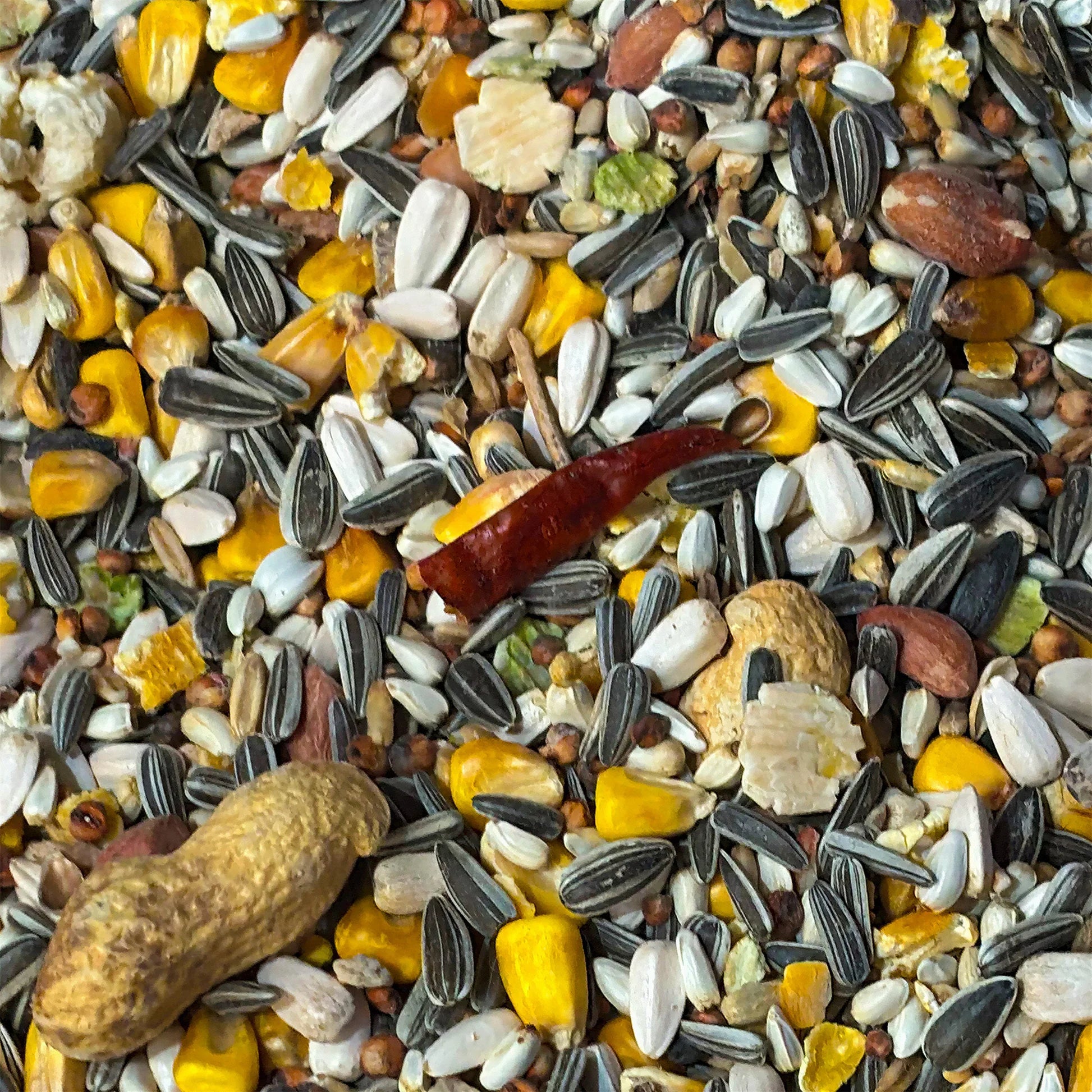 Tropical Parrot Mix (15kg)