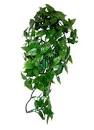 Happy Pet Products Limited Komodo Philodendron Plant 40cm
