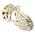 Happy Pet - T-Rex Skull - XL