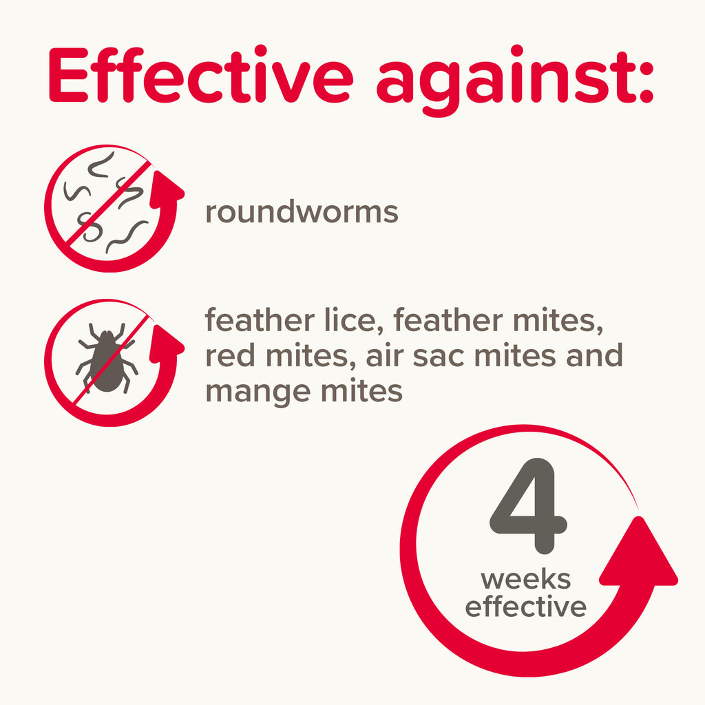 Beaphar Anti-Parasite Spot On (Small Birds)