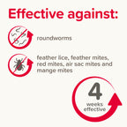 Beaphar Anti-Parasite Spot On (Small Birds)