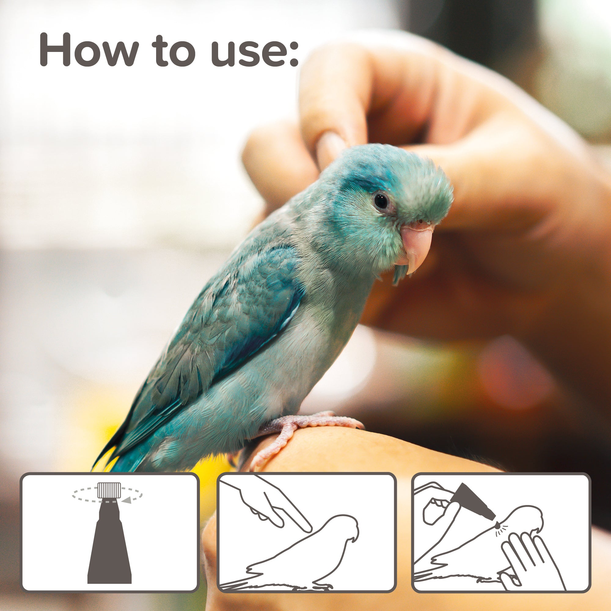 Beaphar Anti-Parasite Spot On (Small Birds)
