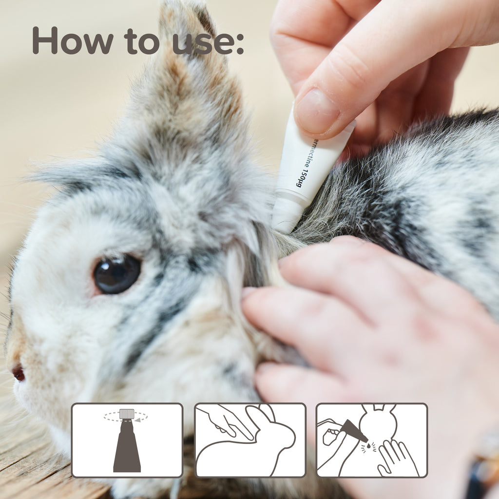 Beaphar Anti-parasite Spot On (Rabbits, Guinea pigs, ferrets and rats)