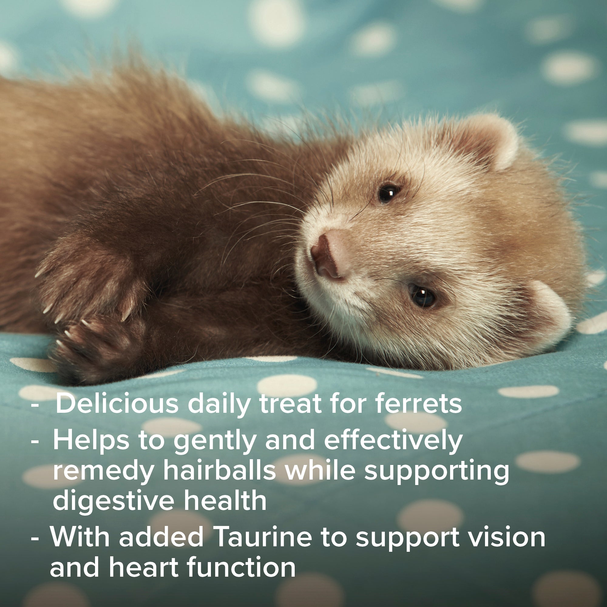 Beaphar Vitamin paste for Ferrets