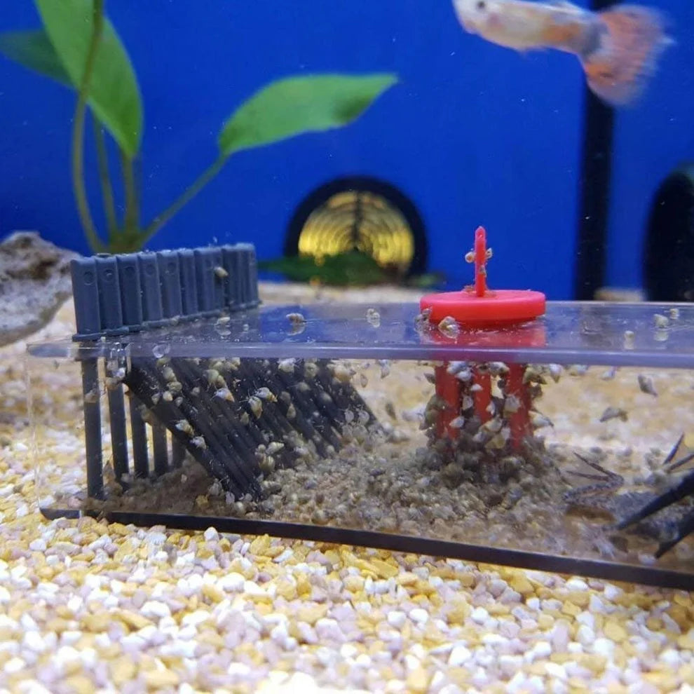 Sera Snail Collect - Trap