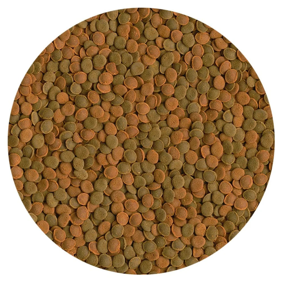 Tetra Wafer Mix