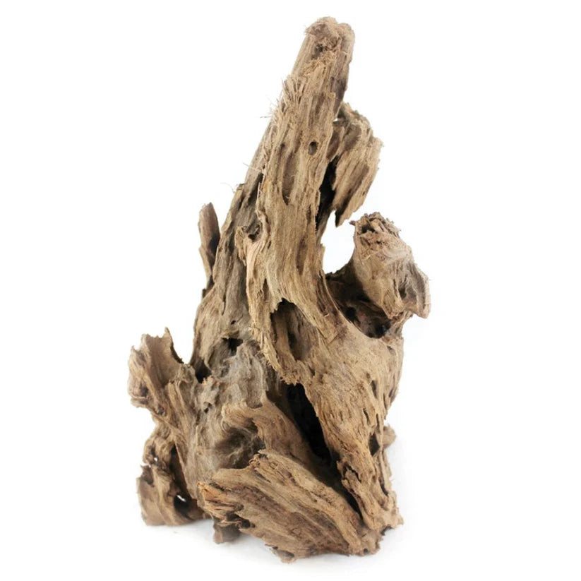 Aquaone Mangrove Root - Small