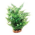 Vibrance Green Fern
