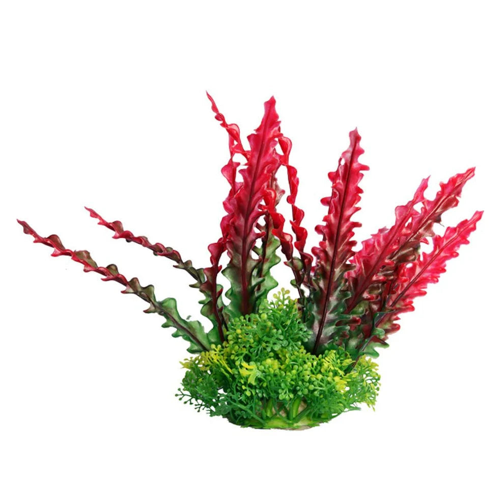 Aqua one Ruffled Red (M, 20cm)