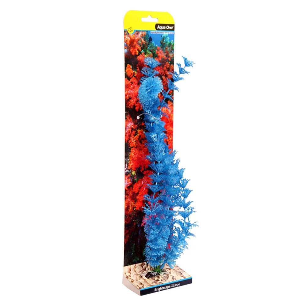 Ecoscape Ambulia Blue XLarge 40cm