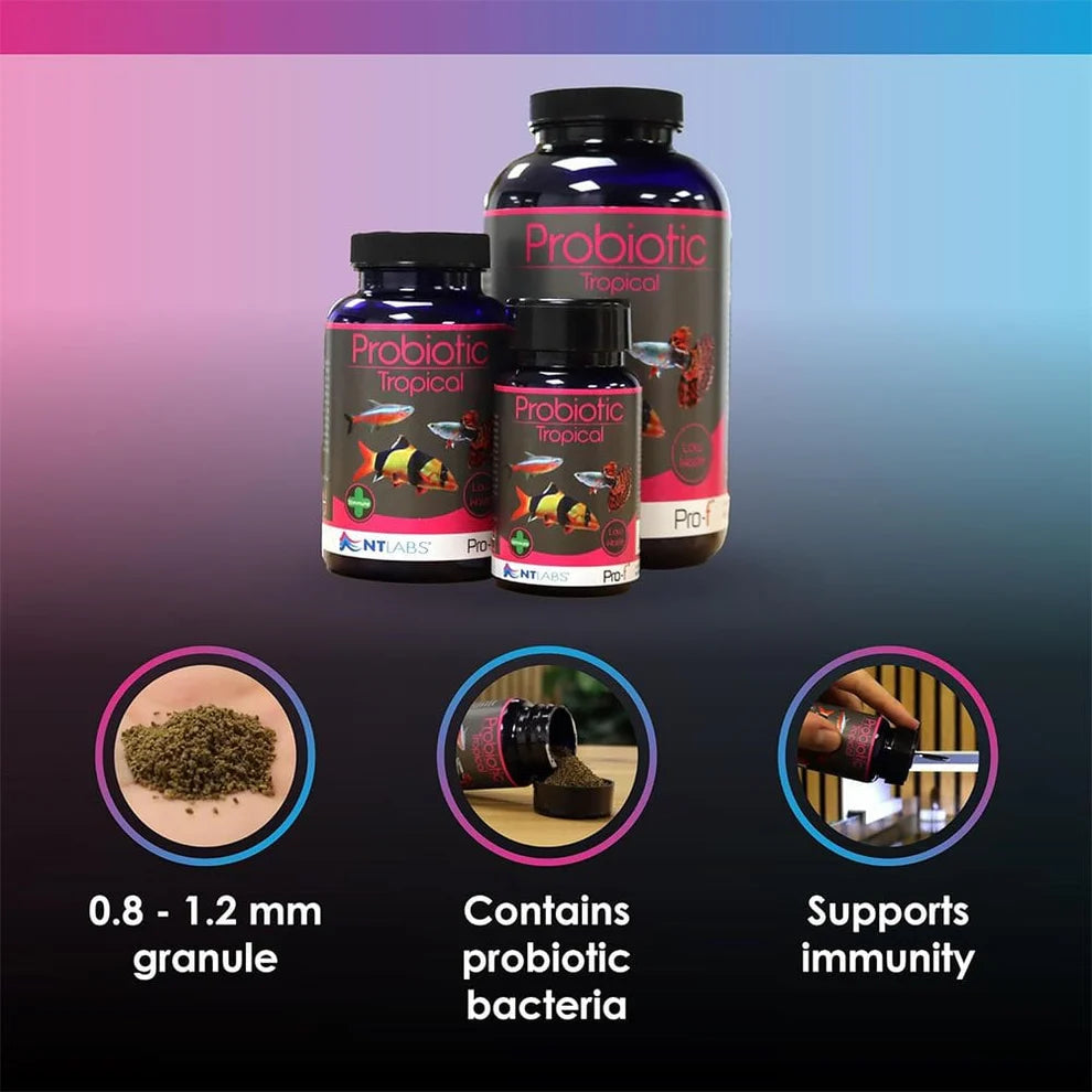 NT Probiotic Tropical Fish Food 1.5kg