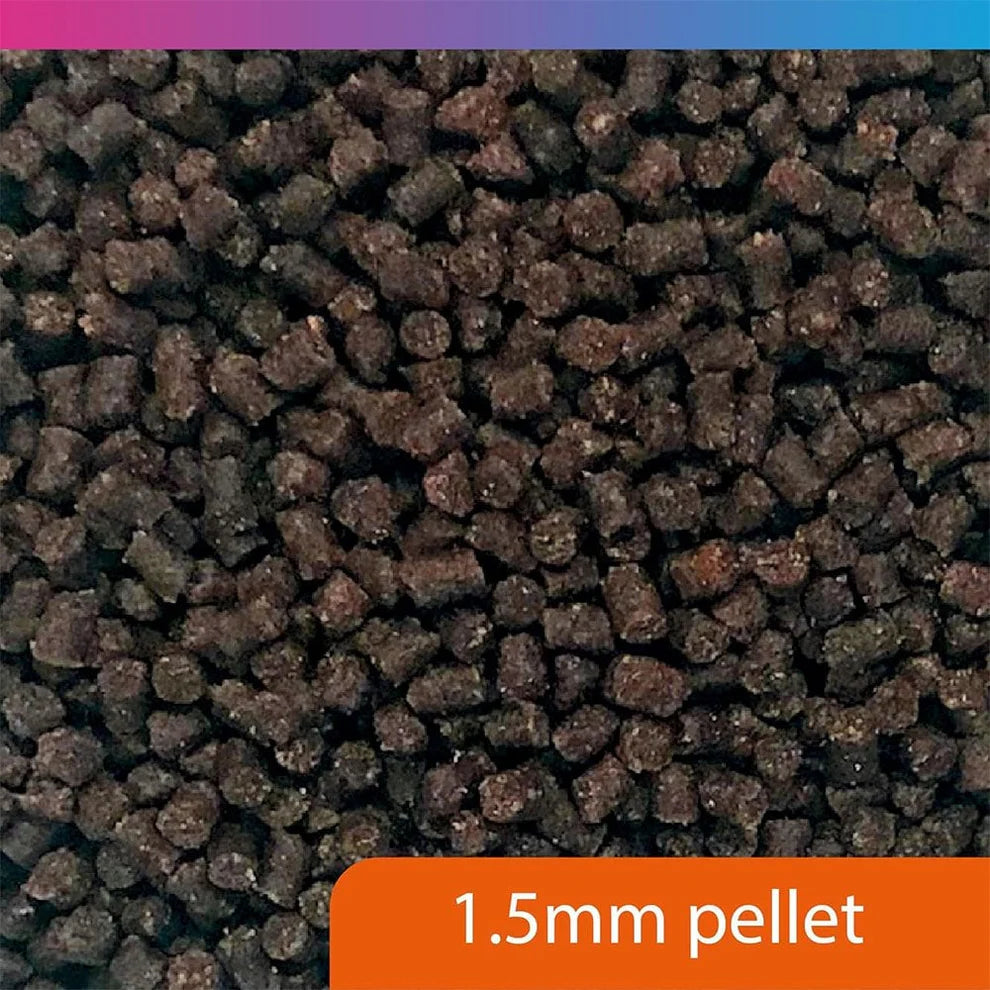 NTLabs Fancy Goldfish Pellets 50g