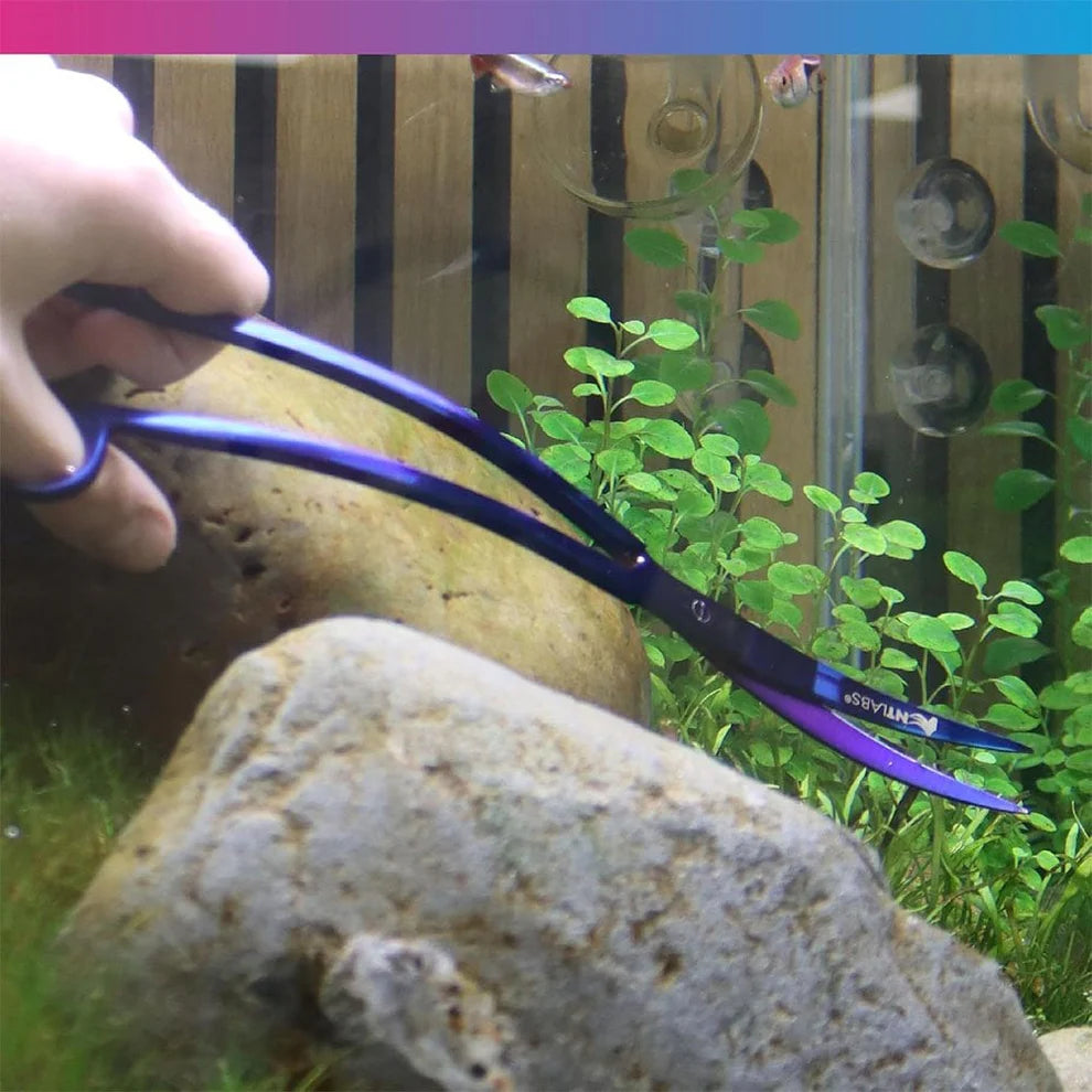 NT Labs Wave Scissors