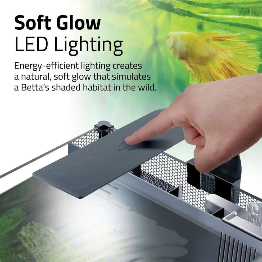 Fluval Betta Premium Aquarium Kit 22.L