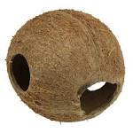 JBL Cocos Cava 1/1M