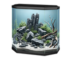 Ciano Aqua 30 Hexa - Black