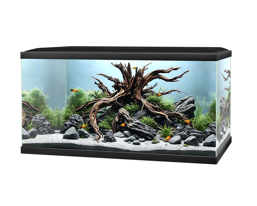 Ciano Aqua 60 Black Aquarium - Smaller Filter