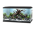 Ciano Aqua 60 Black Aquarium - Smaller Filter