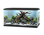 Ciano Aqua 60 Black Aquarium - Smaller Filter