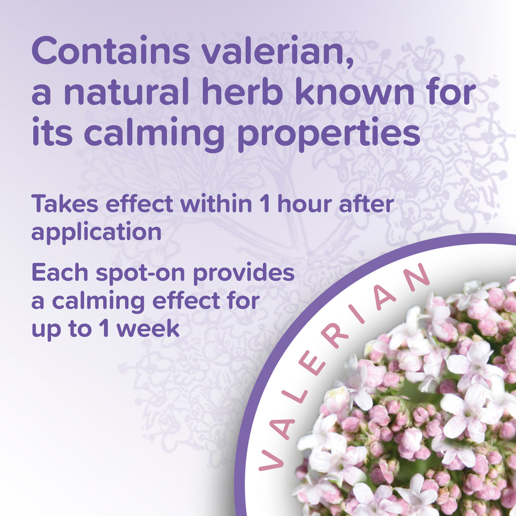 Beaphar herbal calming spot on