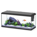 Explorer Amsterdam Aquarium (85 Litres)