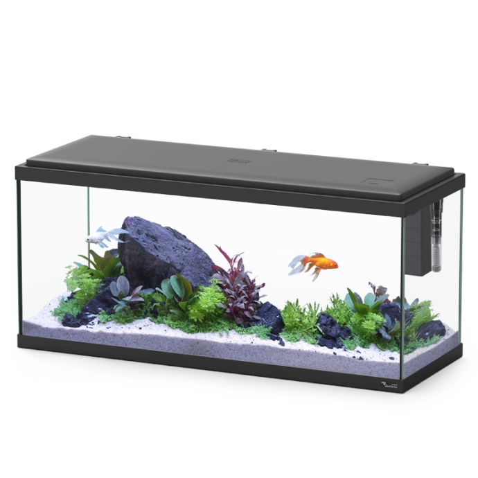 Explorer Amsterdam Aquarium (85 Litres)