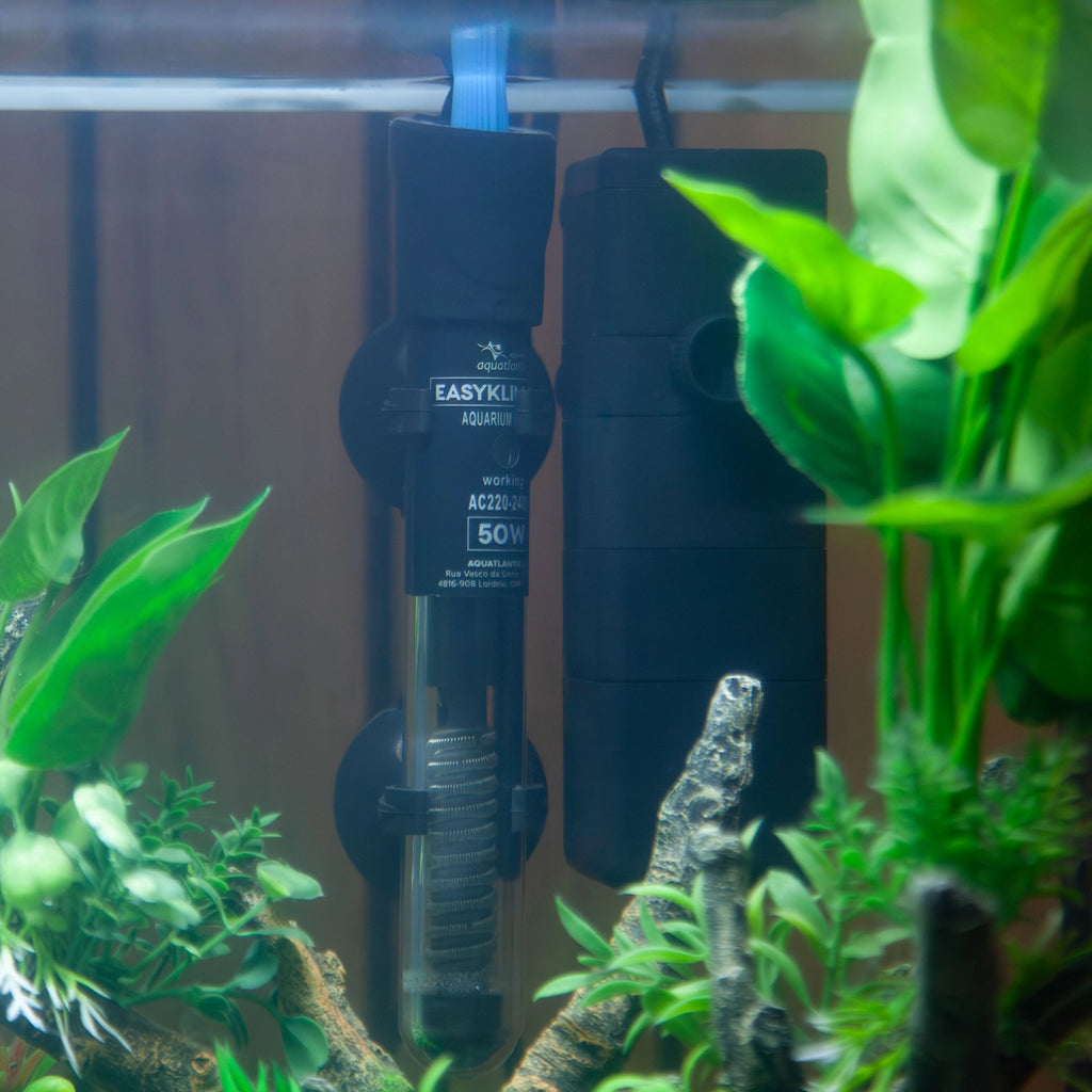 Explorer Amsterdam Aquarium (85 Litres)