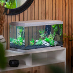Explorer Amsterdam Aquarium (85 Litres)
