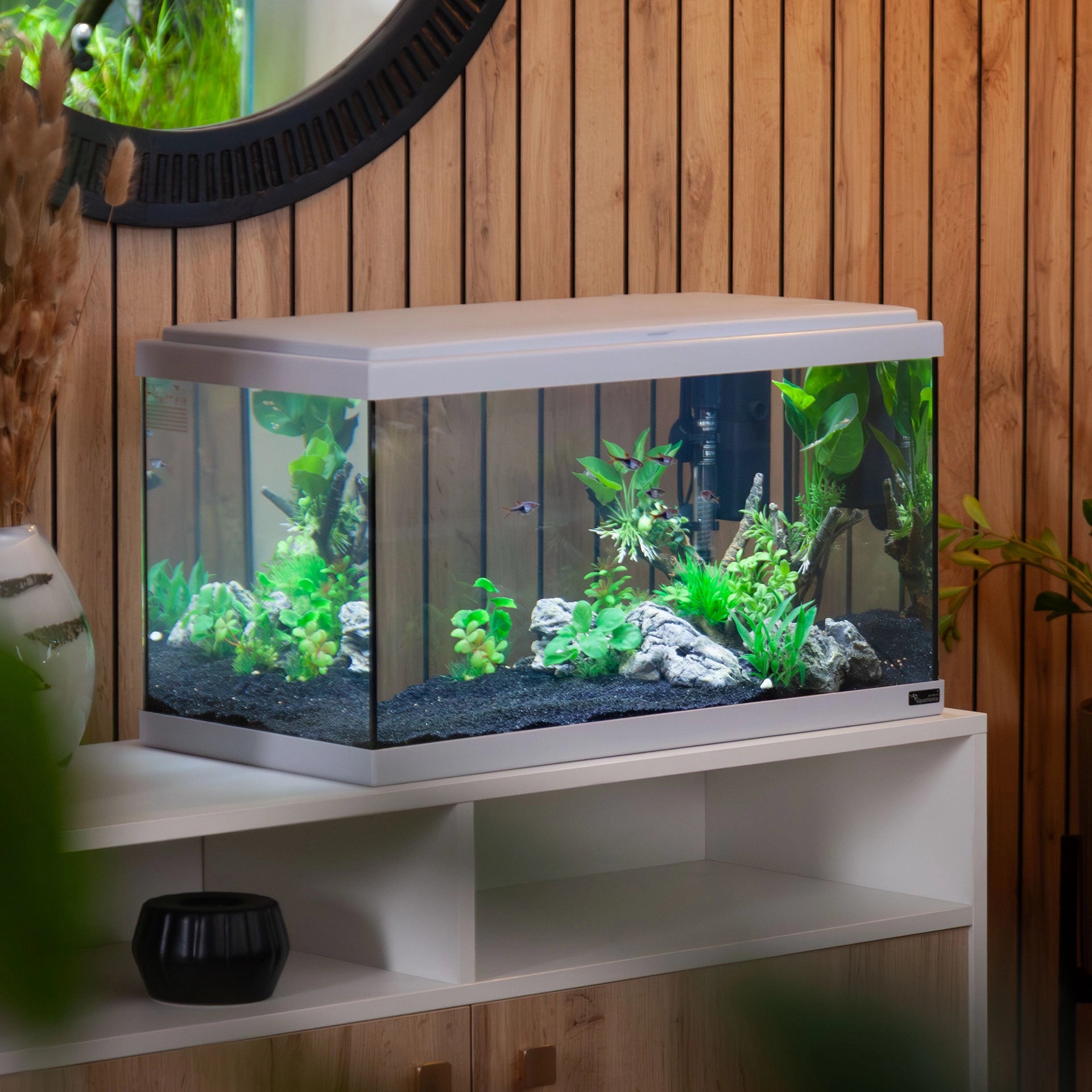 Explorer Amsterdam Aquarium (85 Litres)