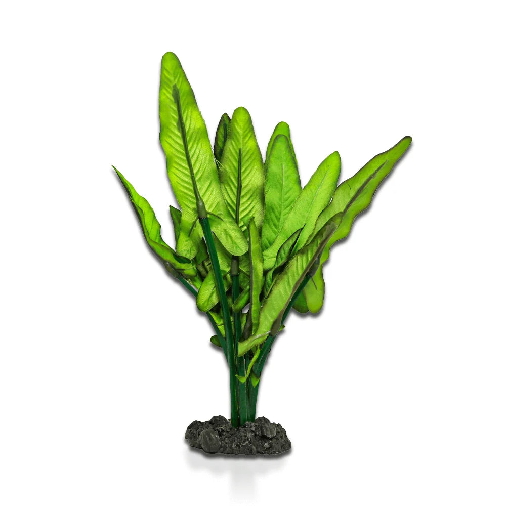 Aqua One Silk Plant - Green/white Sword (20cm)