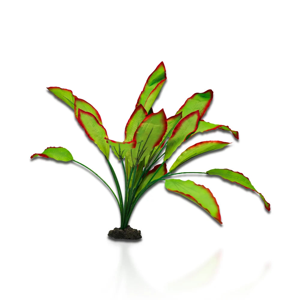 Silk Plant - Amazon Red/green 30 Cm