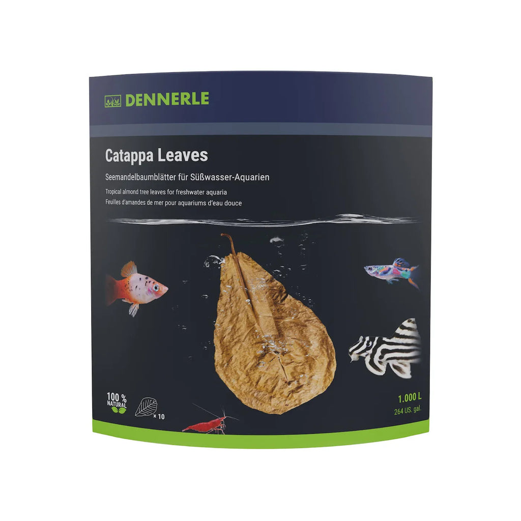 Dennerle Catappa Leaves Large x 10pcs