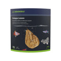 Dennerle Catappa Leaves Large x 10pcs