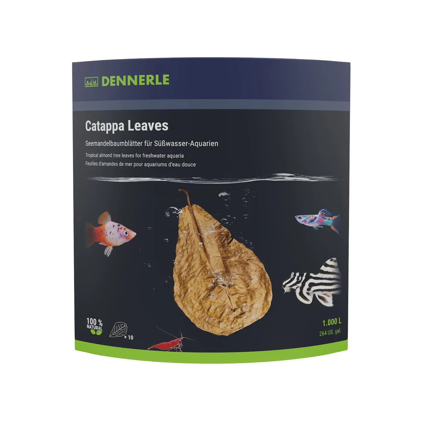 Dennerle Catappa Leaves Large x 10pcs