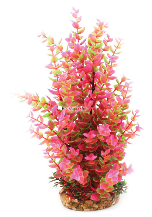 Aqua One Vibtance Gracilaria Orange/Pink Stone Base (L, 30cm)