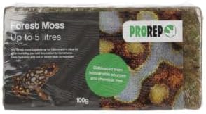 ProRep Forest Moss Brick 100g