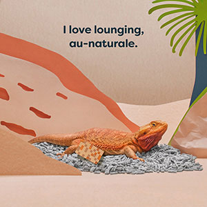 Back 2 Nature Small Animal Bedding & Litter (30L)
