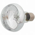 Repti Planet Daylight Basking Spot Bulb - 100w