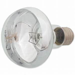 Repti Planet Daylight Basking Spot Bulb - 100w