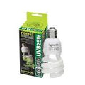 Compact Lamp UVB 26W