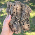 Cork Bark ?11.99 KG