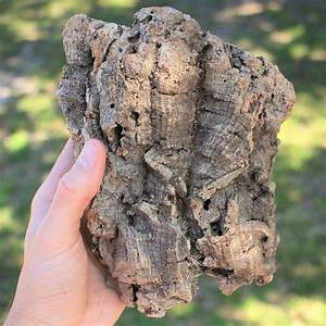 Cork Bark ?11.99 KG
