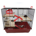 The Grand Cage (with Accessories)