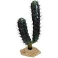 Happy Pet Products Limited Komodo Finger Cactus 20cm