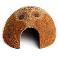 Coconut Den