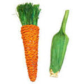 critters choice carrot and corn chew toy small animals