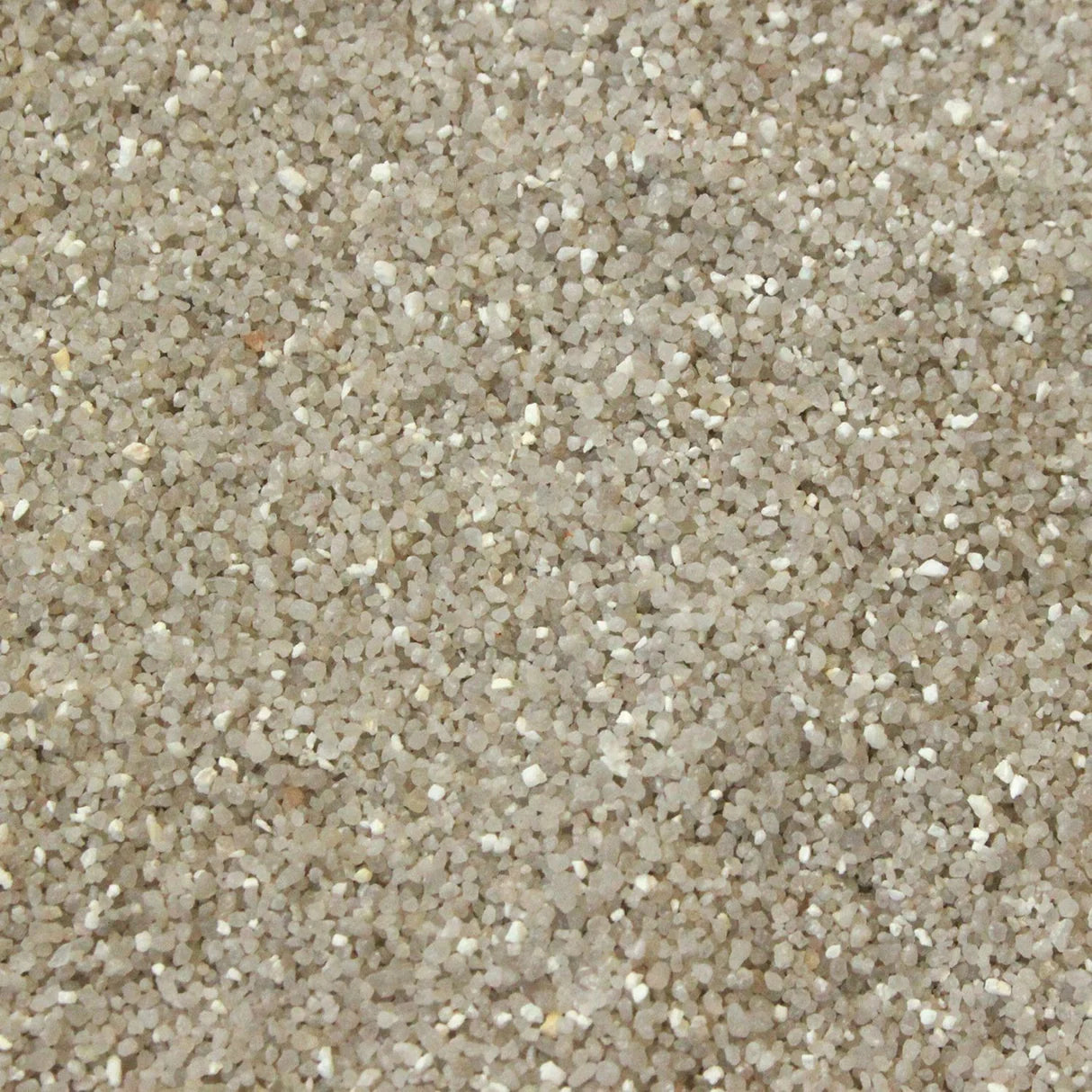 Betta Silver Sand Large 25Kg