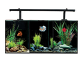 Aqua One Betta Trio (32L)