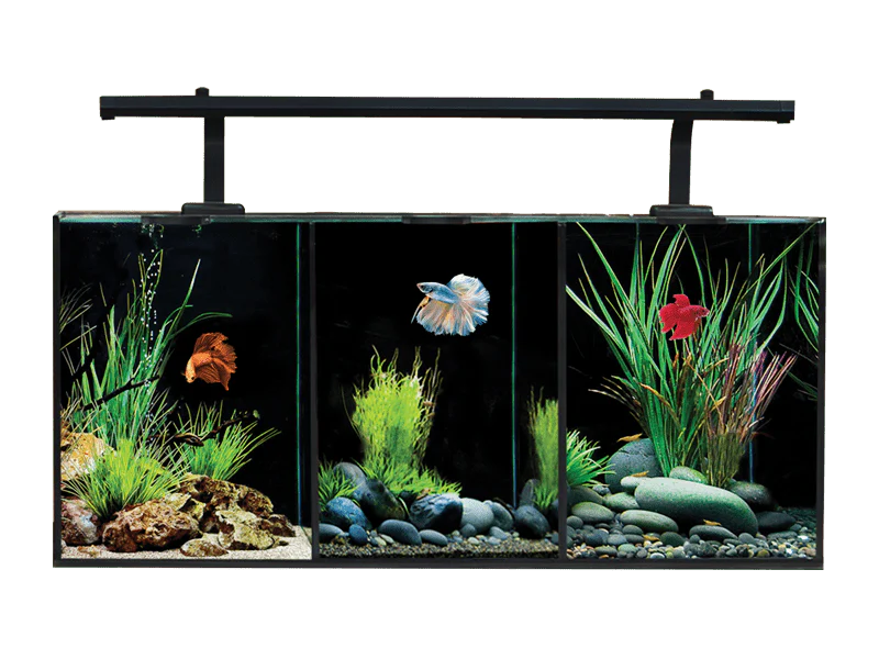 Aqua One Betta Trio (32L)