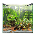 Aqua One AquaLume 25
